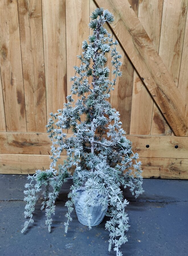 Decoratieve Winterboom