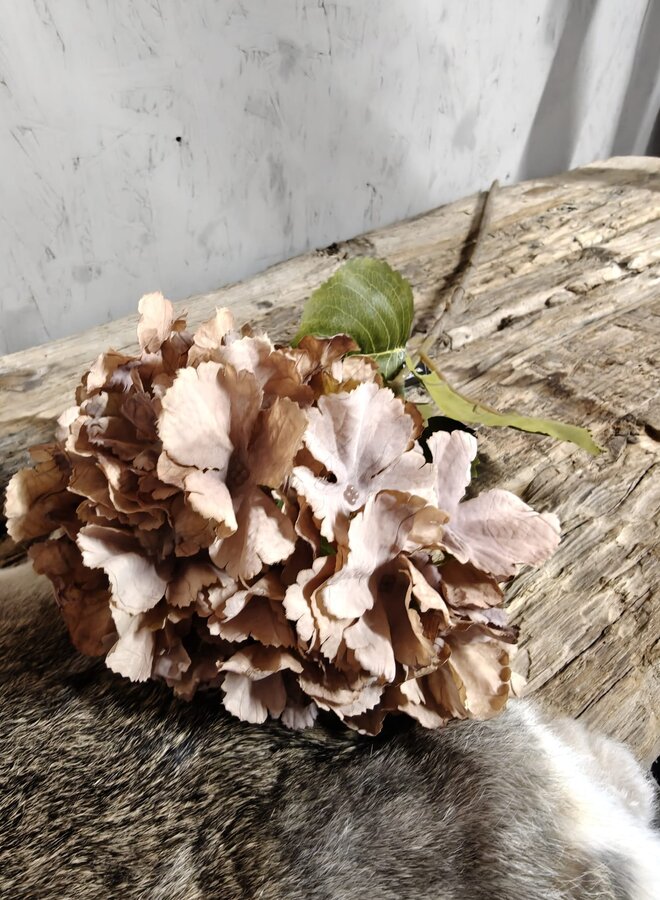 Zijden bloem Hydrangea Mauve Brown 85cm - Brynxz