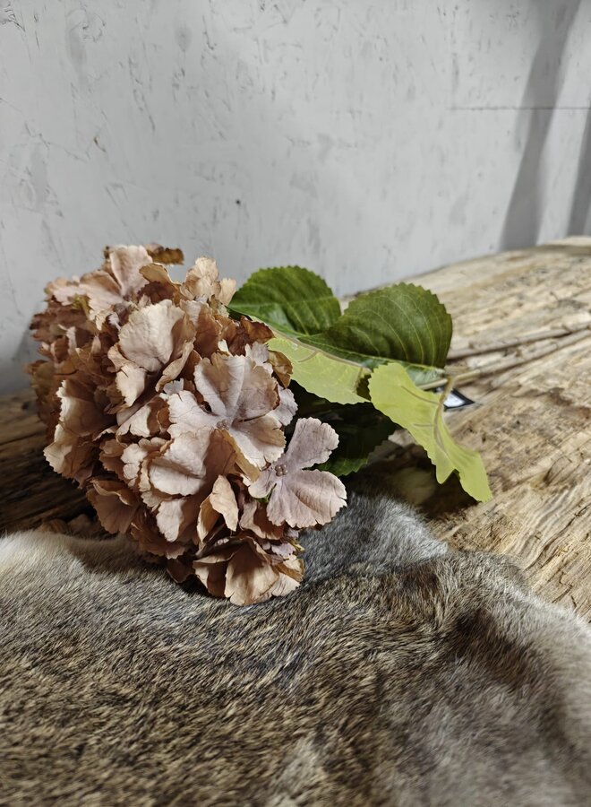 Zijden bloem Hydrangea Mauve Brown 85cm - Brynxz