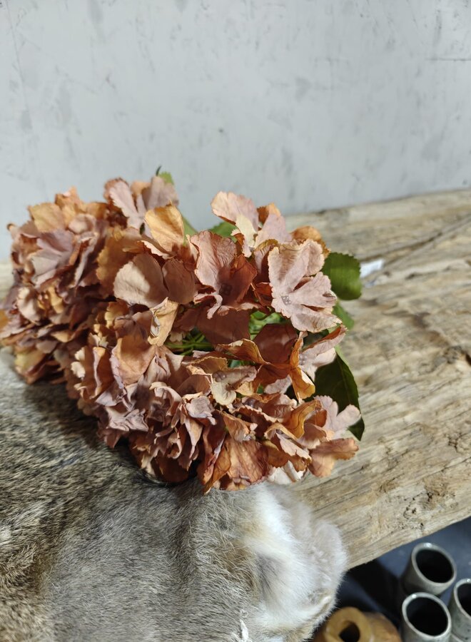 Zijden bloem Hydrangea Mauve Orange 85cm - Brynxz