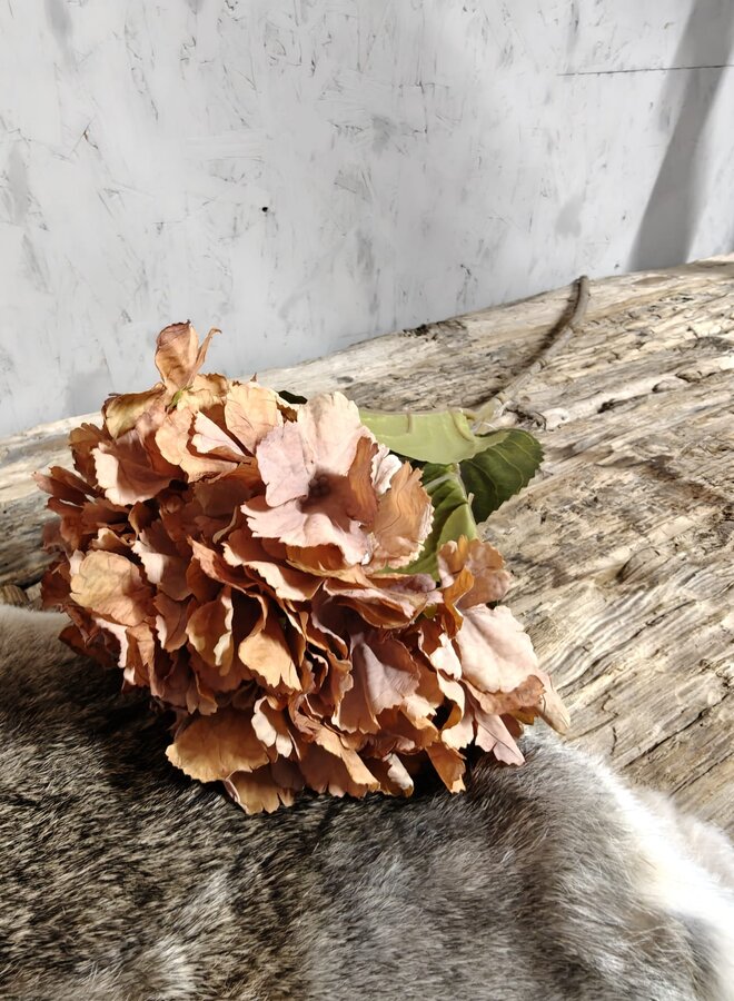 Zijden bloem Hydrangea Mauve Orange 85cm - Brynxz