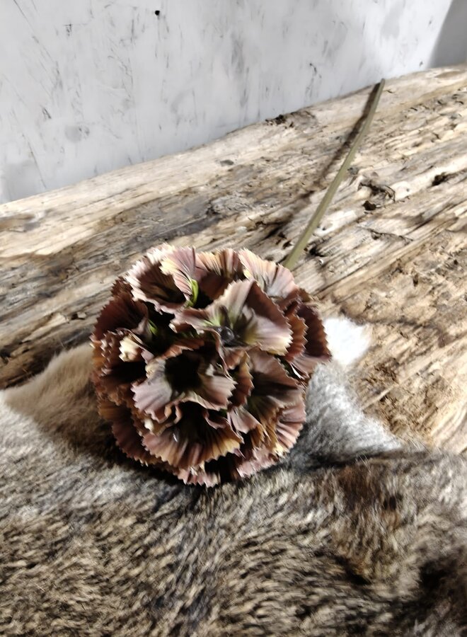 Zijden bloem Scabiosa Dark Brown 70cm - Brynxz