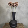 Zijden bloem Scabiosa Dark Brown 70cm - Brynxz
