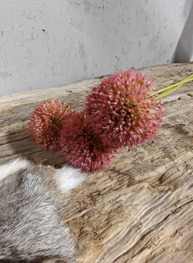 Zijden bloem Allium Autumn Perfect Dark Pink 75cm - Brynxz