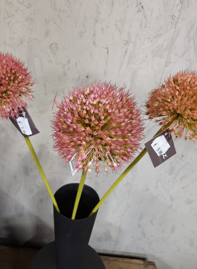 Zijden bloem Allium Autumn Perfect Dark Pink 75cm - Brynxz
