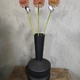 Zijden bloem Allium Autumn Perfect Dark Pink 75cm - Brynxz