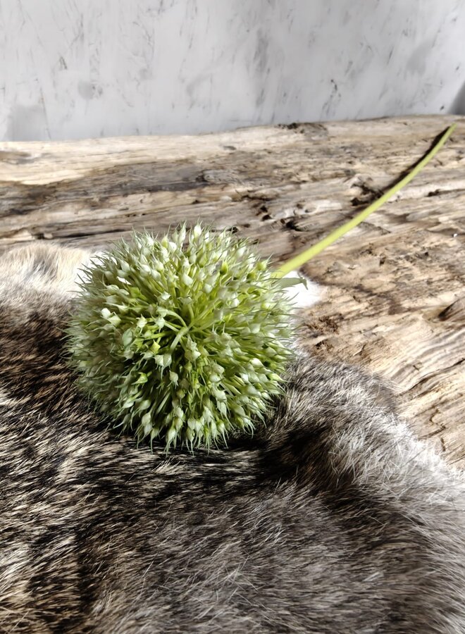 Zijden bloem Allium Spring's Perfect Green 75cm - Brynxz