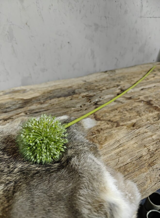 Zijden bloem Allium Spring's Perfect Green 75cm - Brynxz