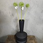 Zijden bloem Allium Spring's Perfect Green 75cm - Brynxz