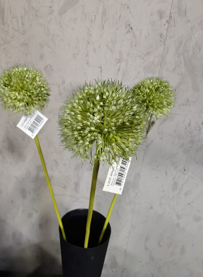 Zijden bloem Allium Spring's Perfect Green 75cm - Brynxz