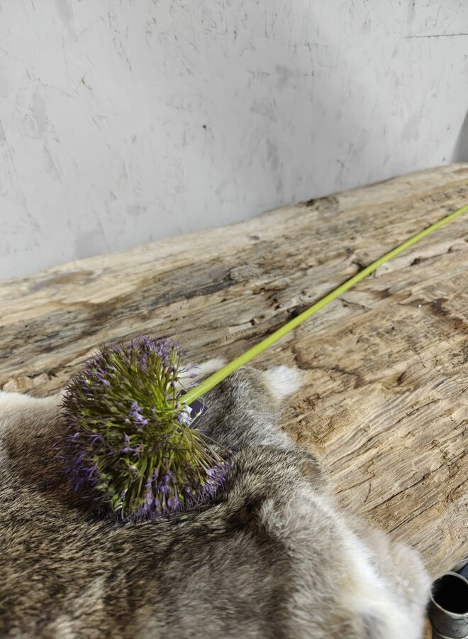 Zijden bloem Allium Spring's Perfect Grande Purple Blue 75cm - Brynxz