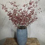 Zijden bloem Berry Spray Light Red 75cm - Brynxz