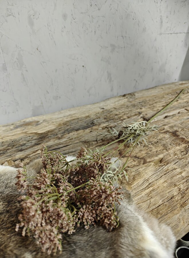 Zijden bloem Single Lace Flower Orange 80cm - Brynxz