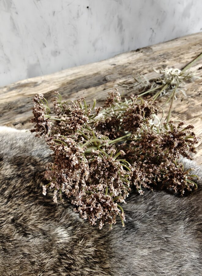 Zijden bloem Single Lace Flower Orange 80cm - Brynxz