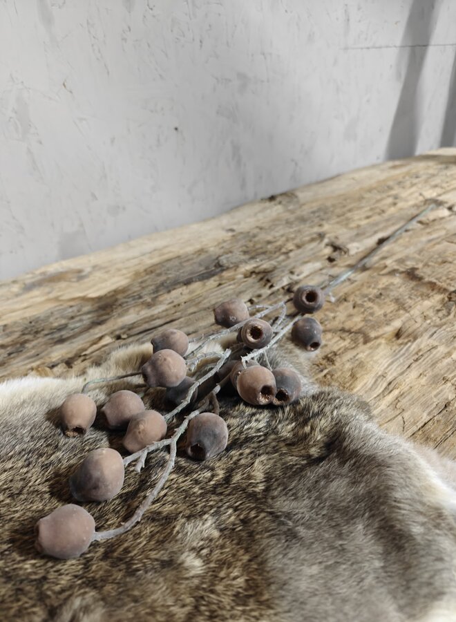 Zijden bloem Mespulus Stem Brown 70cm - Brynxz