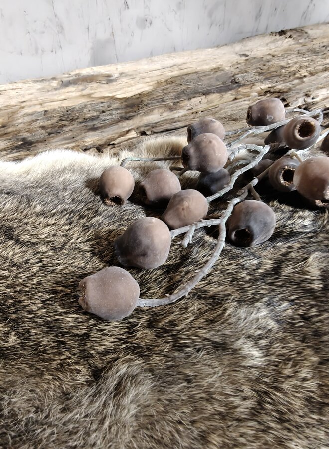 Zijden bloem Mespulus Stem Brown 70cm - Brynxz