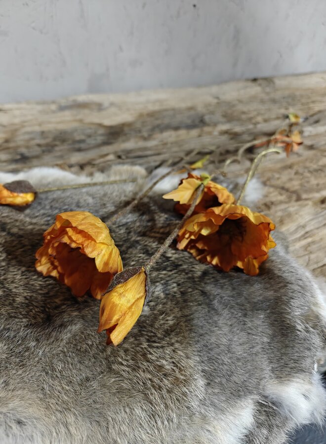 Zijden bloem Poppy Bundle Twist Orange 100cm - Brynxz
