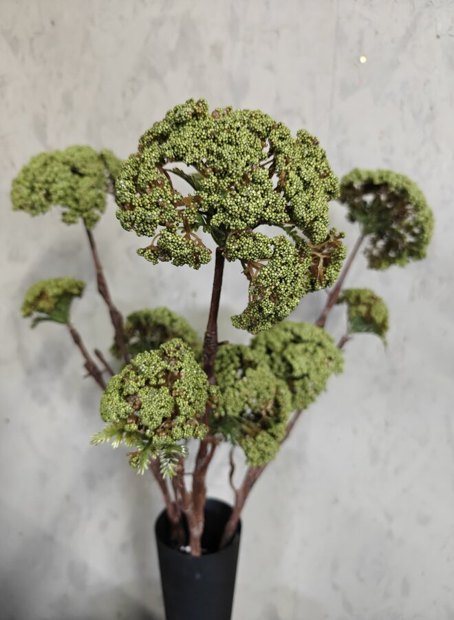 Zijden bloem Sedum Spray Green 85cm - Brynxz