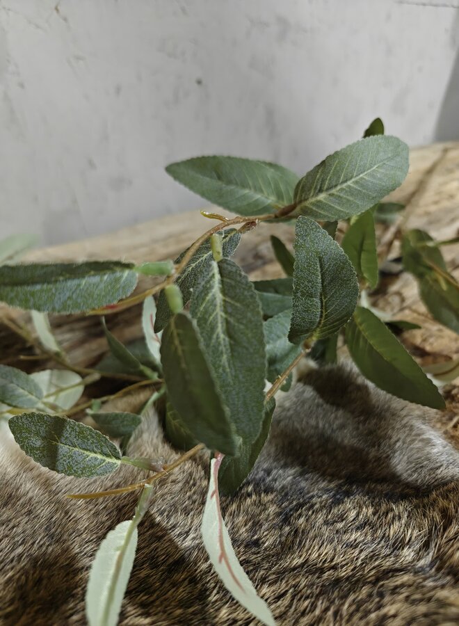 Zijden bloem Salix Grey Green 102cm - Brynxz