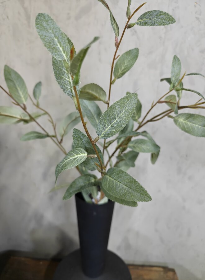 Zijden bloem Salix Grey Green 102cm - Brynxz
