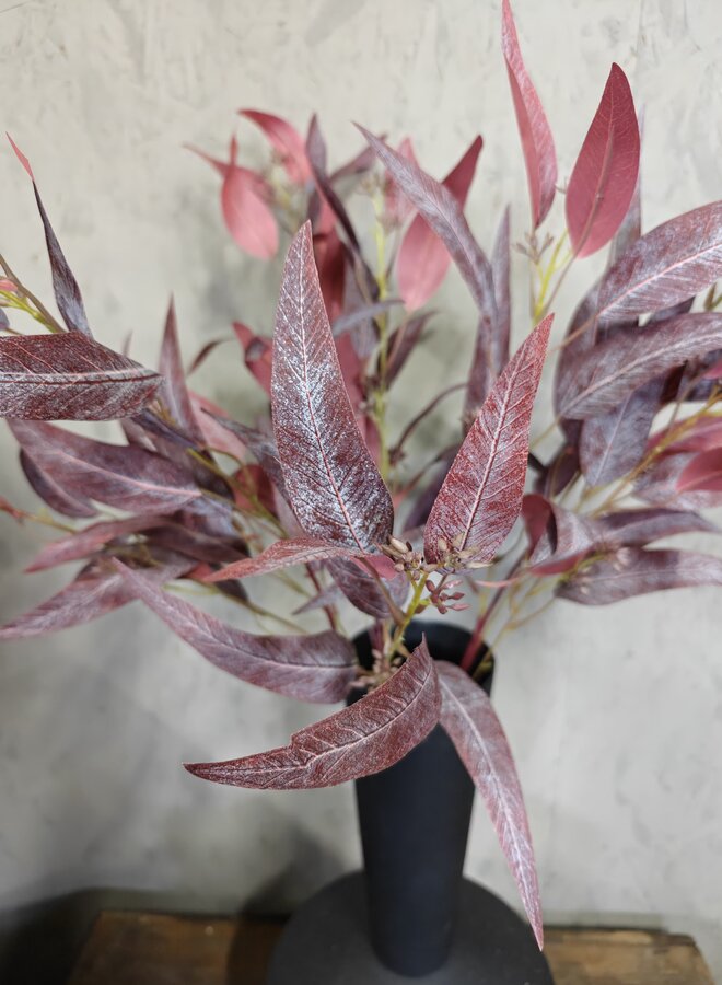 Zijden bloem Eucalyptus Lancet Red 85cm - Brynxz