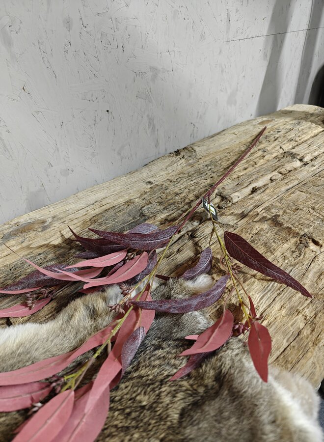 Zijden bloem Eucalyptus Lancet Red 85cm - Brynxz