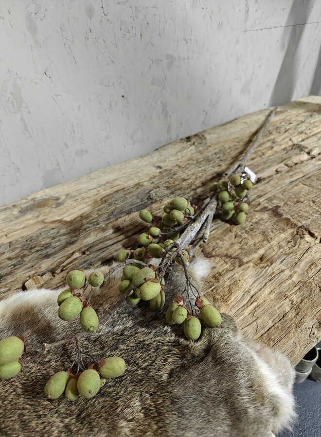 Zijden bloem Alnus Grande Ant. Green 92cm - Brynxz