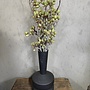 Zijden bloem Alnus Grande Ant. Green 92cm - Brynxz