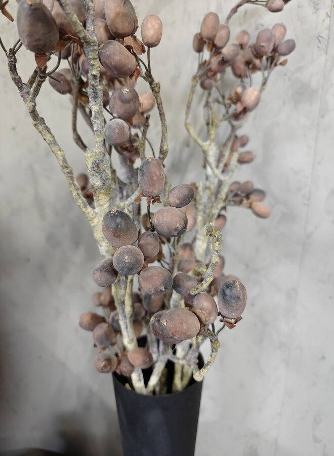 Zijden bloem Alnus Grande Brown 92cm - Brynxz