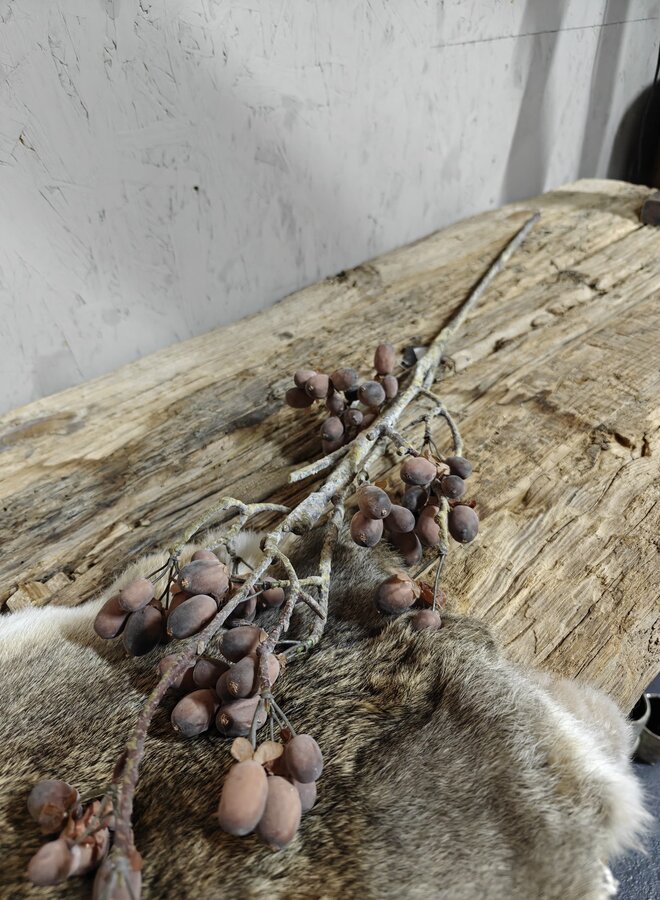 Zijden bloem Alnus Grande Brown 92cm - Brynxz