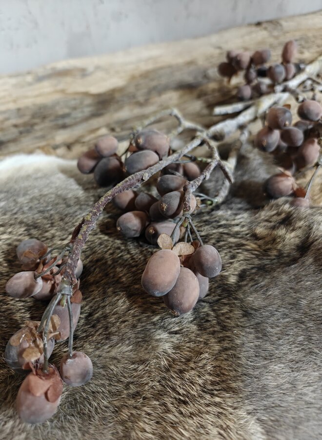 Zijden bloem Alnus Grande Brown 92cm - Brynxz