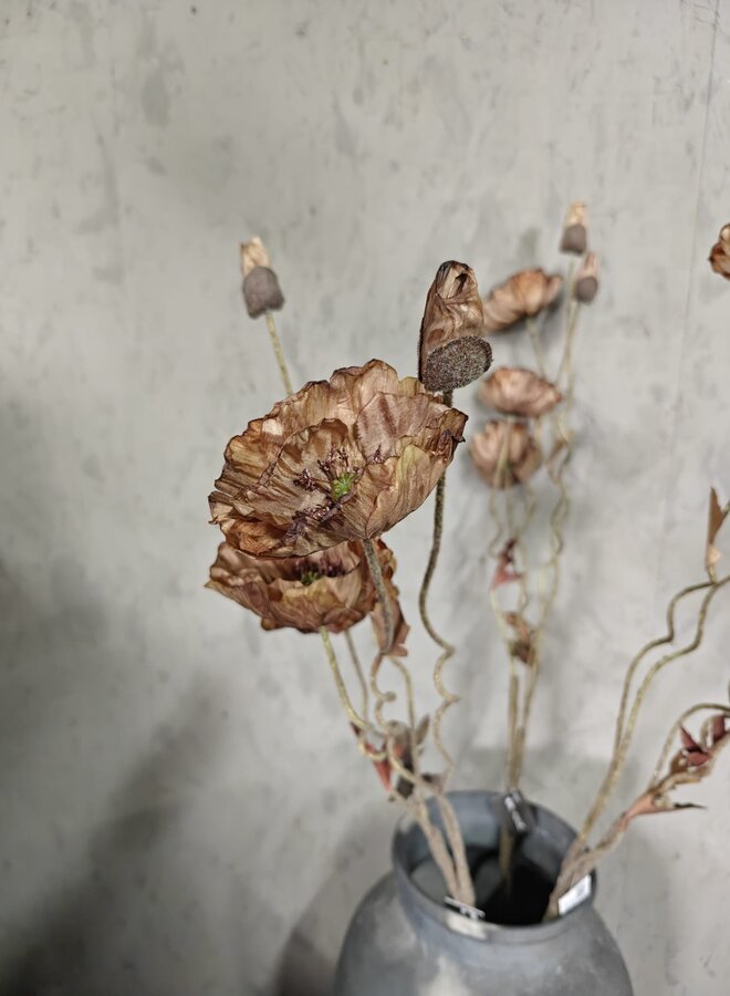 Zijden bloem Poppy Brown 100cm