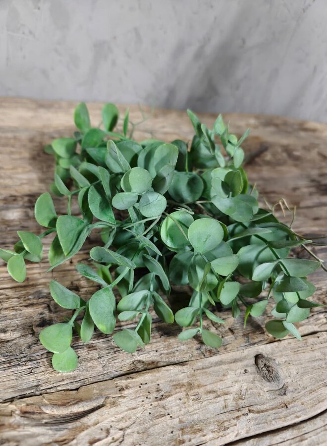 Eucalyptus Bush Green 35cm – Brynxz