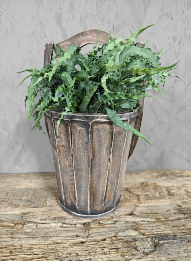 Eucalyptus Bush Carved 35cm – Brynxz