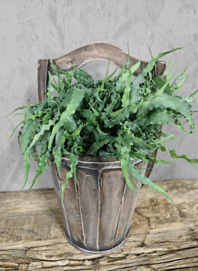 Eucalyptus Bush Carved 35cm – Brynxz