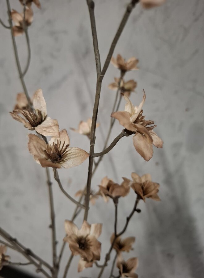 Zijden bloem Cornus Off White 110cm - Brynxz