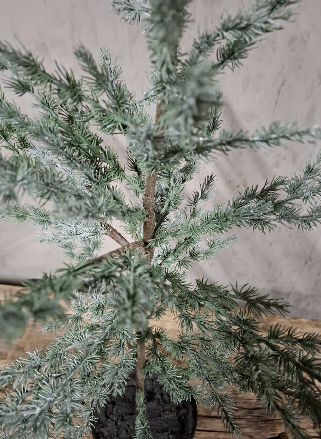Tree Ceder Grey 80 cm