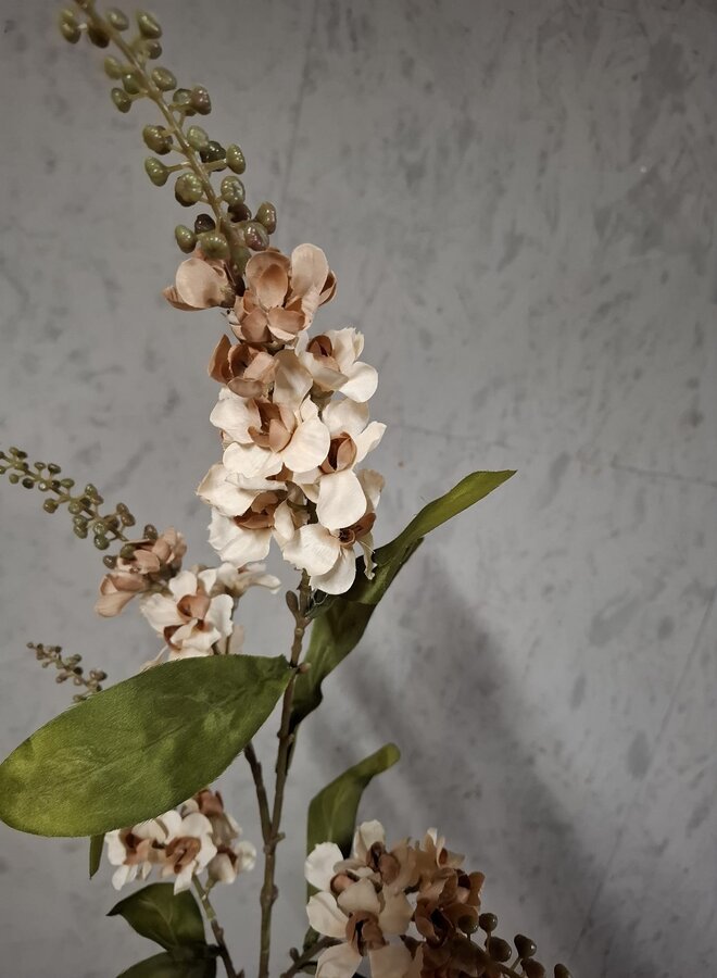 Zijden bloem Physostegia Salmon 100 cm