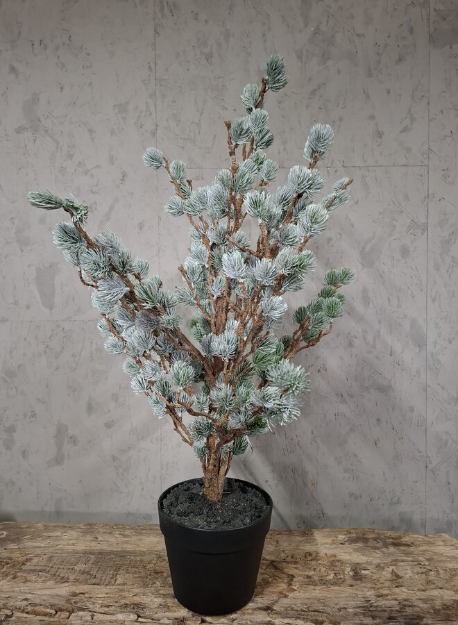 Tree Larix Grey Green 80 cm