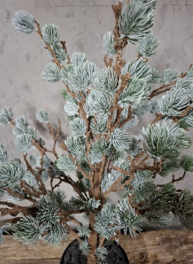 Tree Larix Grey Green 80 cm