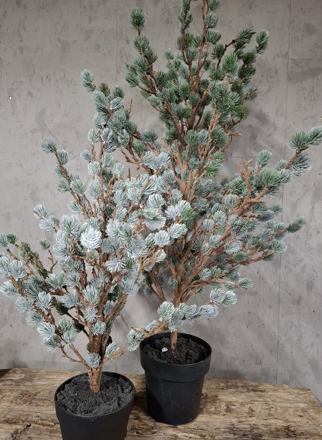 Tree Larix Grey Green 120 cm
