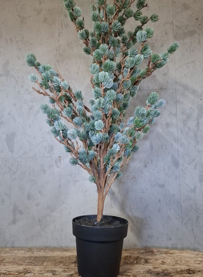Tree Larix Grey Green 120 cm