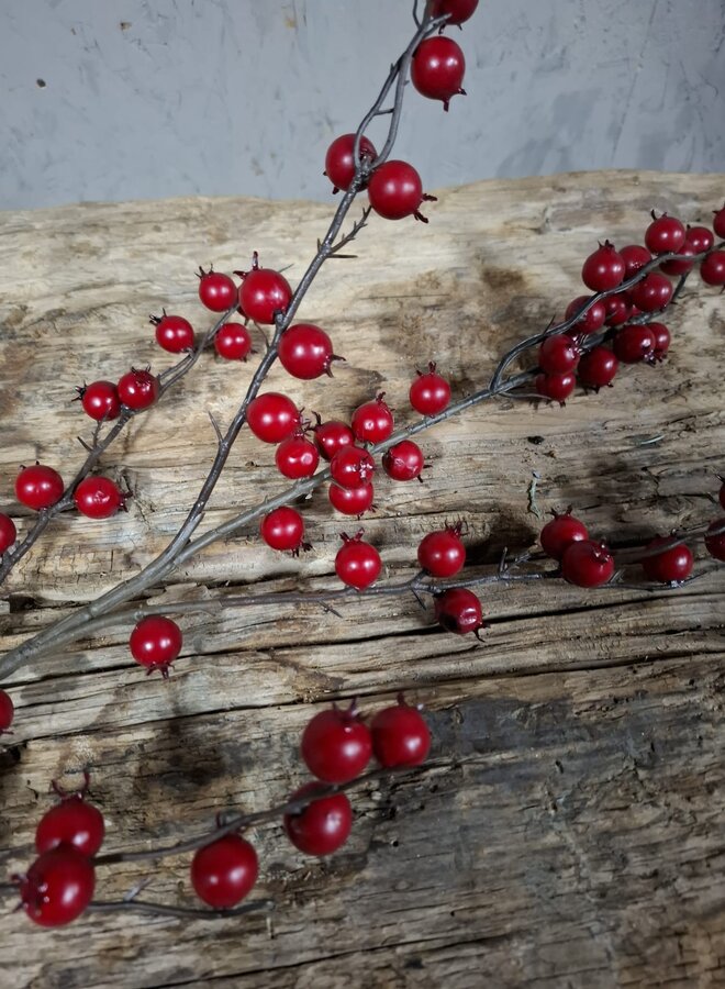 Berry Winter Red L 97cm – Brynxz