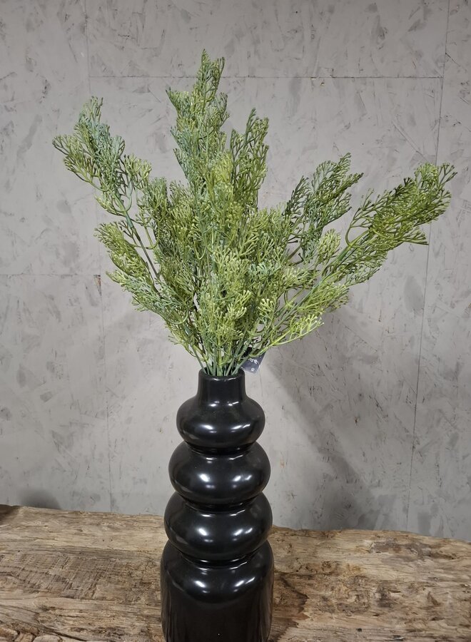 Dillweed Bush Deluxe 56cm – Brynxz
