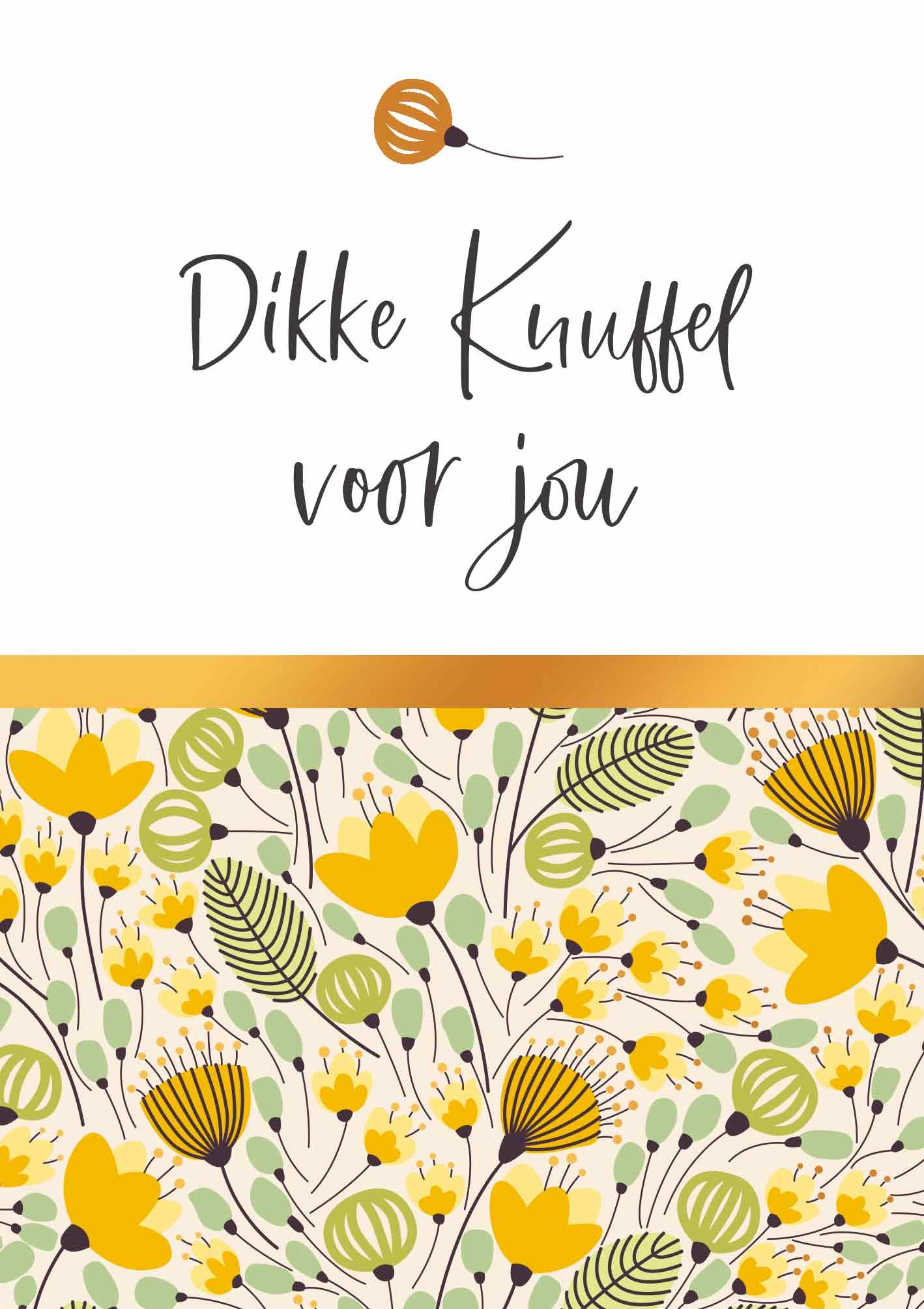 Dikke knuffel voor jou - Snelwenskaart.nl