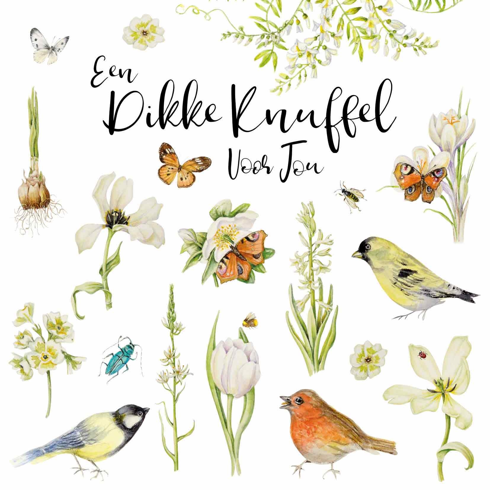 Een dikke knuffel voor jou - Snelwenskaart.nl