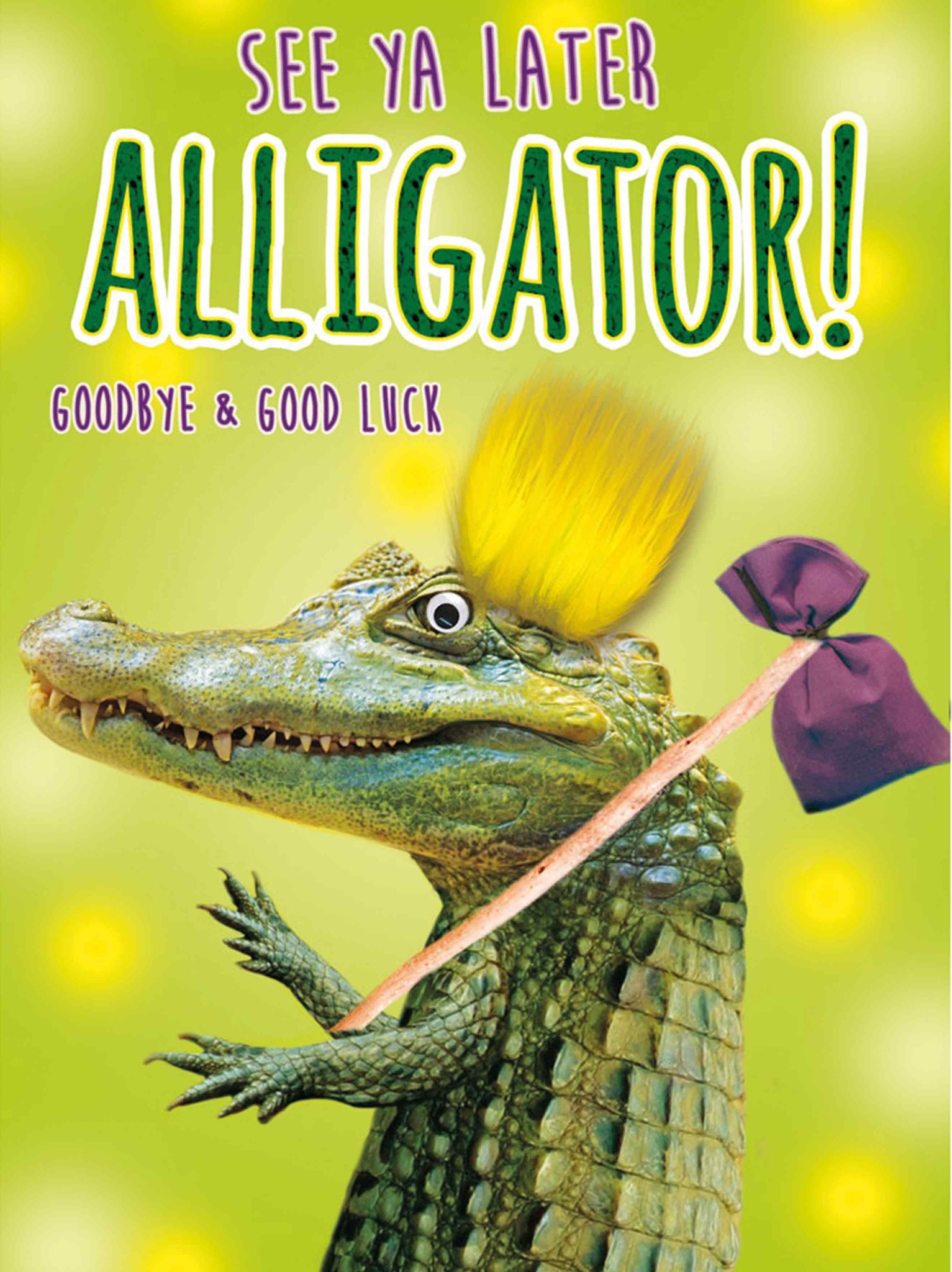 Xl Kaart See Ya Later Alligator Snelwenskaart Nl