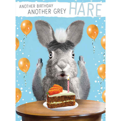 XL kaart - Another birthday another grey hare