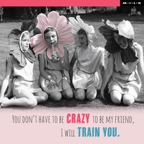 You don't have to be crazy to be my friend
