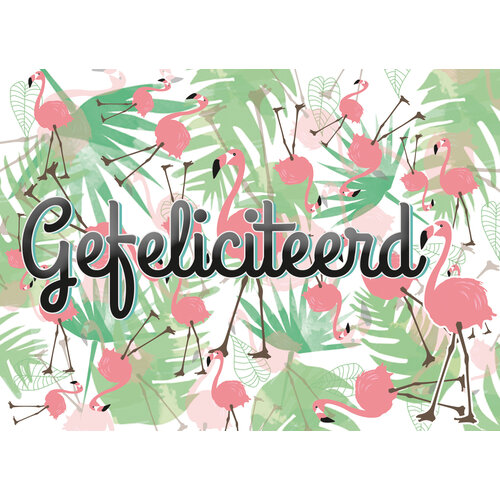 Mixx - Gefeliciteerd